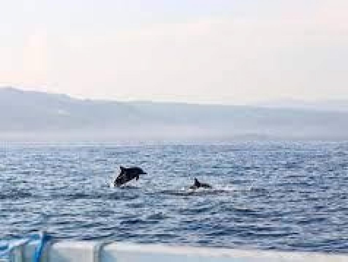 atraksi wisata