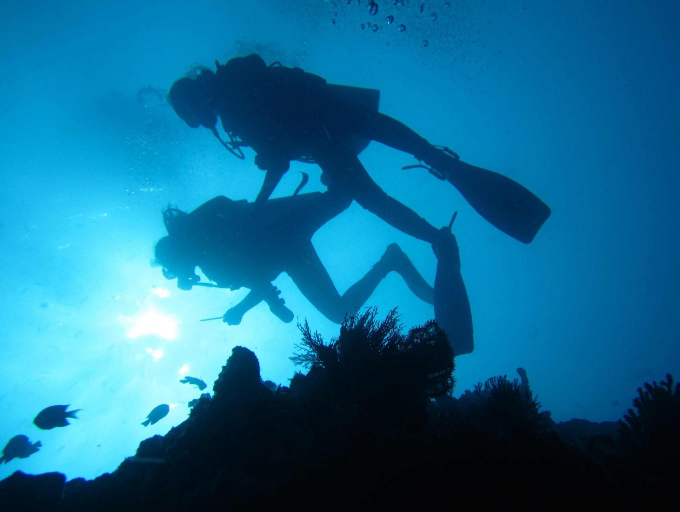 atraksi wisata