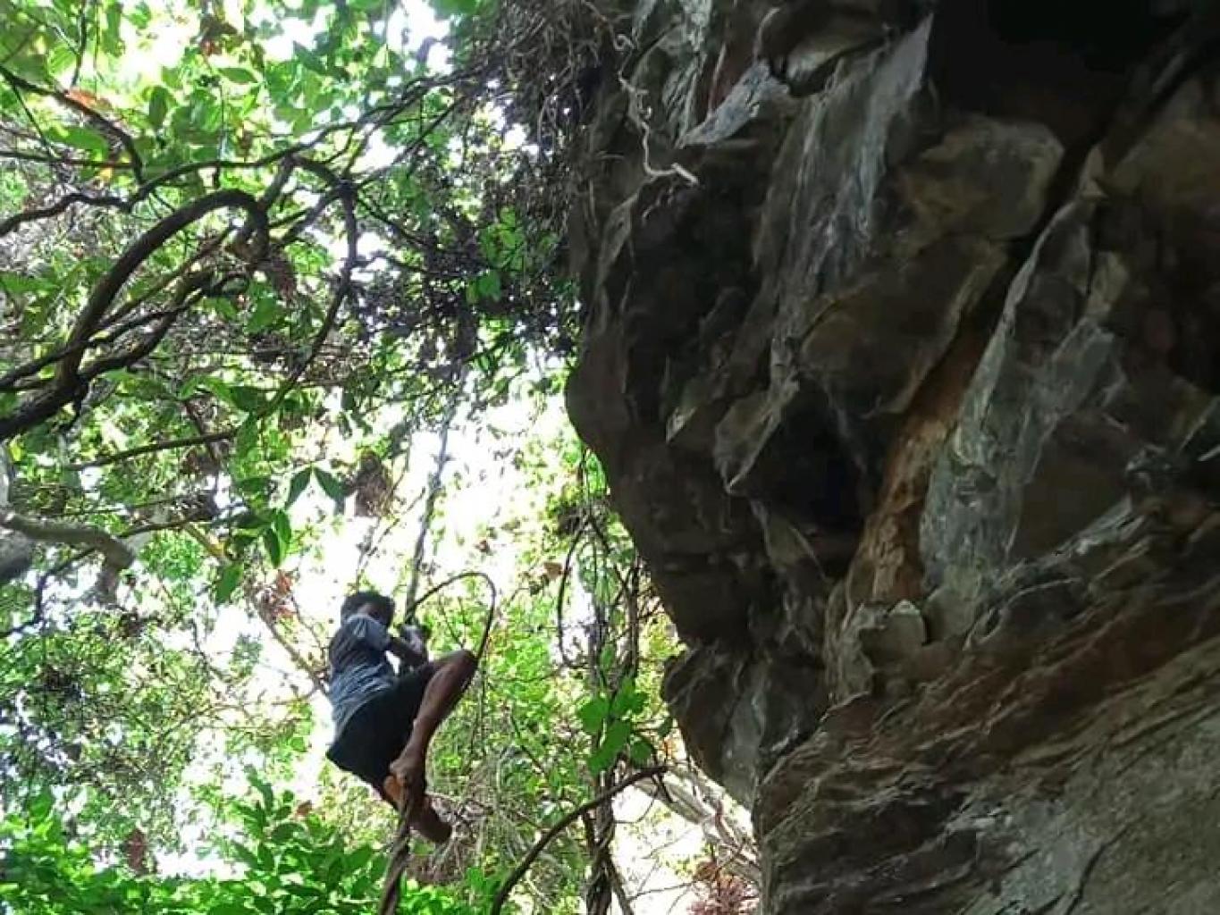 atraksi wisata