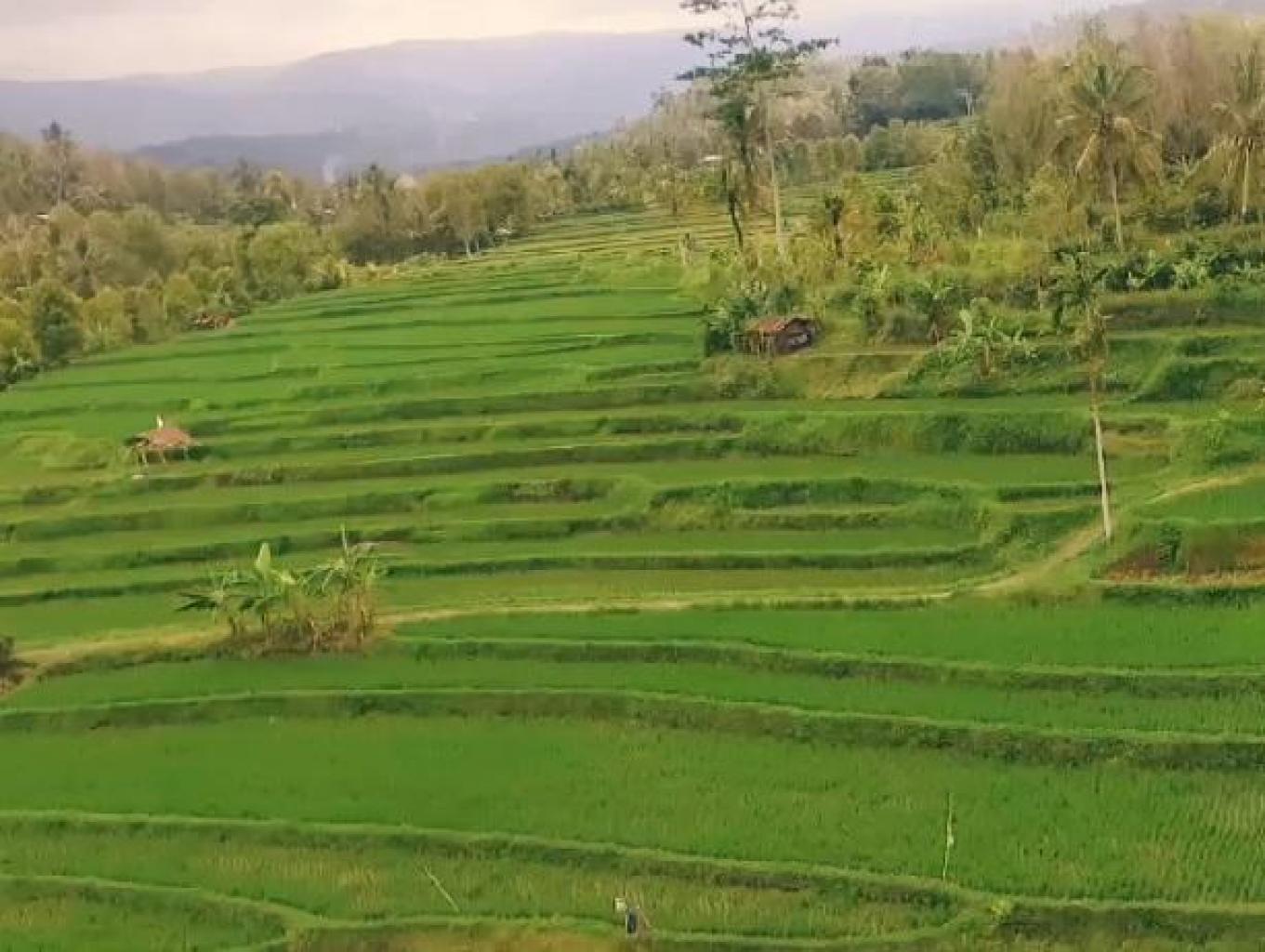 atraksi wisata